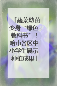 蔬菜幼苗变身“绿色教科书”！哈市各区中小学生展示种植成果