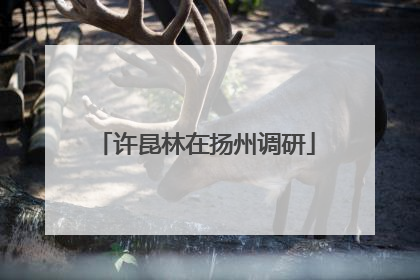 许昆林在扬州调研