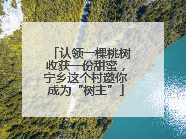 认领一棵桃树收获一份甜蜜，宁乡这个村邀你成为“树主”