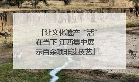 让文化遗产“活”在当下 江西集中展示百余项非遗技艺
