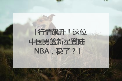 行情飙升！这位中国男篮新星登陆NBA，稳了？