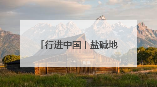 行进中国丨盐碱地上“渔歌”嘹亮