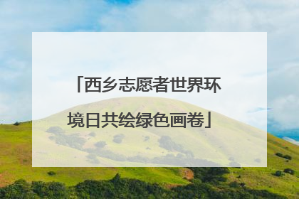 西乡志愿者世界环境日共绘绿色画卷