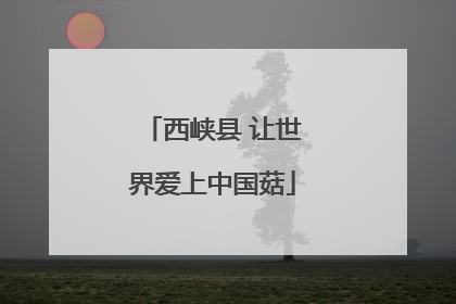 西峡县 让世界爱上中国菇