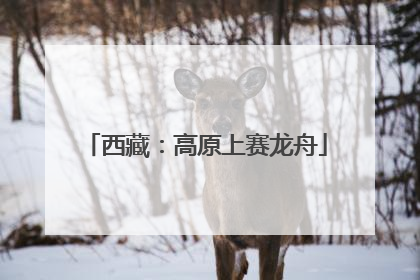 西藏：高原上赛龙舟