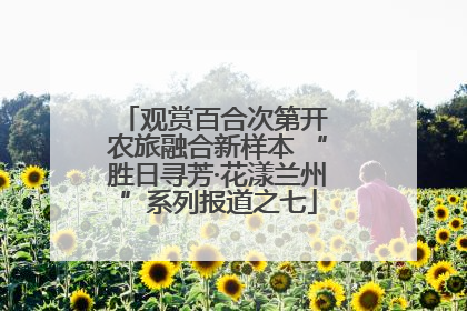观赏百合次第开 农旅融合新样本 “胜日寻芳·花漾兰州”系列报道之七