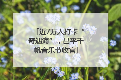 近7万人打卡“奇遇海”，昌平千帆音乐节收官