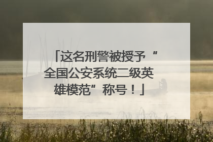 这名刑警被授予“全国公安系统二级英雄模范”称号！