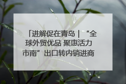 进解促在青岛｜“全球外贸优品 聚惠活力市南”出口转内销进商超专场活动启动