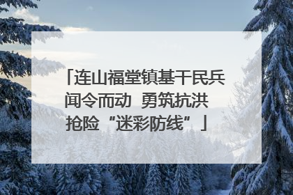 连山福堂镇基干民兵闻令而动  勇筑抗洪抢险“迷彩防线”
