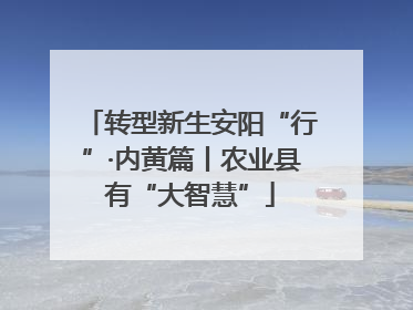 转型新生安阳“行”·内黄篇丨农业县有“大智慧”
