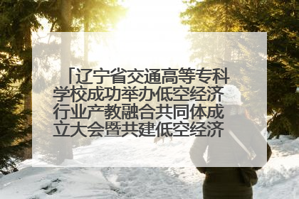 辽宁省交通高等专科学校成功举办低空经济行业产教融合共同体成立大会暨共建低空经济产教融合新生态论坛