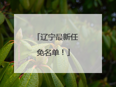 辽宁最新任免名单！