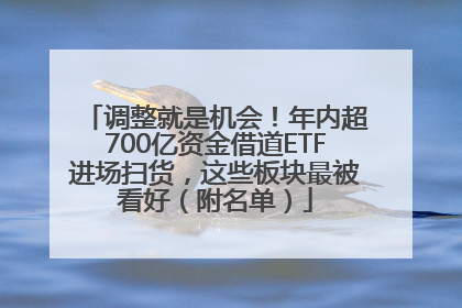 调整就是机会！年内超700亿资金借道ETF进场扫货，这些板块最被看好（附名单）