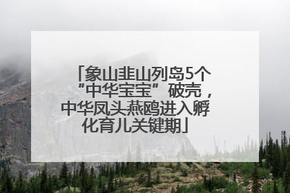 象山韭山列岛5个“中华宝宝”破壳，中华凤头燕鸥进入孵化育儿关键期