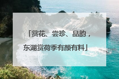 赏花、尝珍、品韵，东湖赏荷季有颜有料