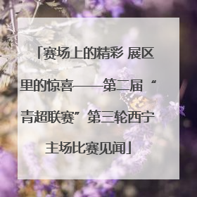 赛场上的精彩 展区里的惊喜——第二届“青超联赛”第三轮西宁主场比赛见闻