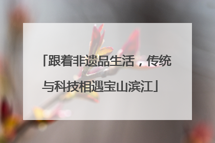 跟着非遗品生活，传统与科技相遇宝山滨江