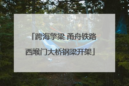 跨海擎梁 甬舟铁路西堠门大桥钢梁开架