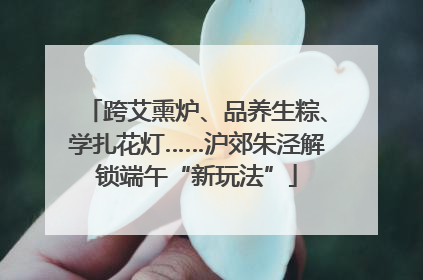 跨艾熏炉、品养生粽、学扎花灯……沪郊朱泾解锁端午“新玩法”
