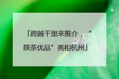 跨越千里来推介，“陕茶优品”亮相杭州