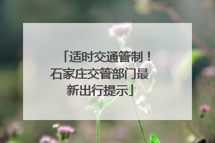 适时交通管制！石家庄交管部门最新出行提示