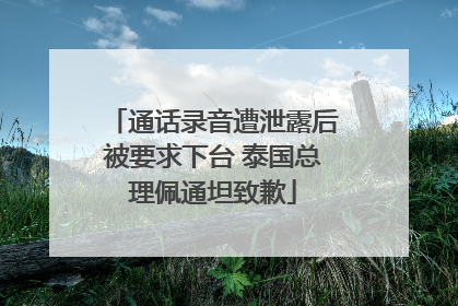 通话录音遭泄露后被要求下台 泰国总理佩通坦致歉
