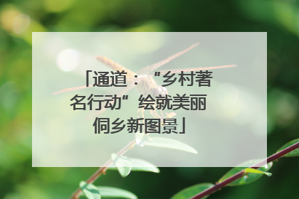 通道：“乡村著名行动”绘就美丽侗乡新图景