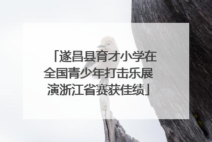 遂昌县育才小学在全国青少年打击乐展演浙江省赛获佳绩
