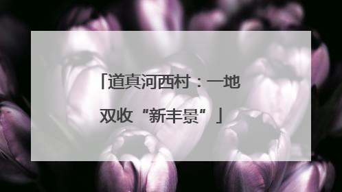 道真河西村：一地双收“新丰景”