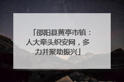 邵阳县黄亭市镇：人大牵头织安网，多力并聚助振兴