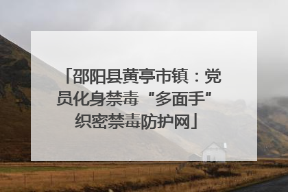 邵阳县黄亭市镇：党员化身禁毒“多面手” 织密禁毒防护网