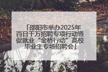 邵阳市举办2025年百日千万招聘专项行动暨促就业“金桥行动”高校毕业生专场招聘会