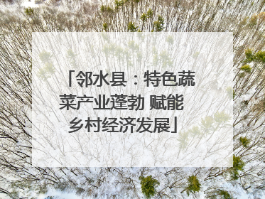 邻水县：特色蔬菜产业蓬勃 赋能乡村经济发展