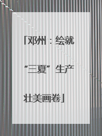 邓州：绘就“三夏”生产壮美画卷