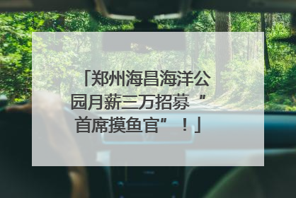郑州海昌海洋公园月薪三万招募“首席摸鱼官”！