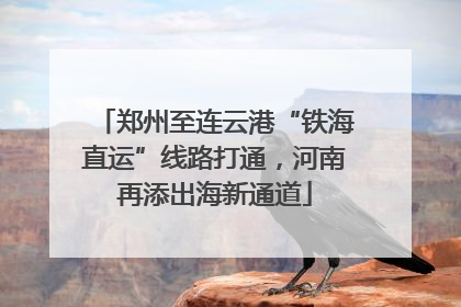 郑州至连云港“铁海直运”线路打通，河南再添出海新通道