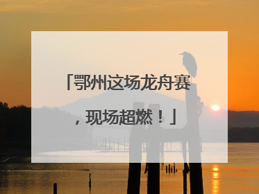 鄂州这场龙舟赛，现场超燃！