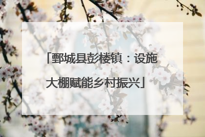 鄄城县彭楼镇：设施大棚赋能乡村振兴