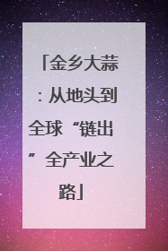 金乡大蒜：从地头到全球“链出”全产业之路