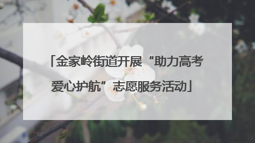 金家岭街道开展“助力高考 爱心护航”志愿服务活动