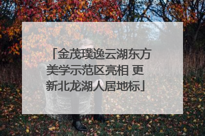金茂璞逸云湖东方美学示范区亮相 更新北龙湖人居地标