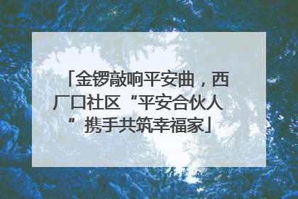 金锣敲响平安曲，西厂口社区“平安合伙人”携手共筑幸福家