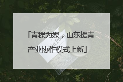 青稞为媒，山东援青产业协作模式上新
