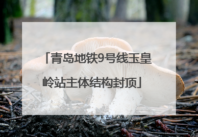 青岛地铁9号线玉皇岭站主体结构封顶