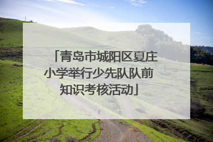 青岛市城阳区夏庄小学举行少先队队前知识考核活动