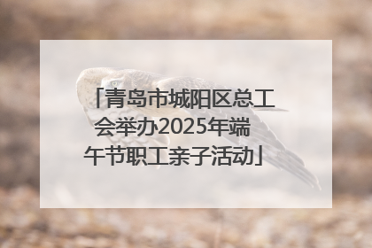 青岛市城阳区总工会举办2025年端午节职工亲子活动