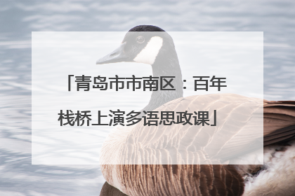 青岛市市南区：百年栈桥上演多语思政课