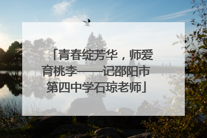 青春绽芳华，师爱育桃李——记邵阳市第四中学石琼老师