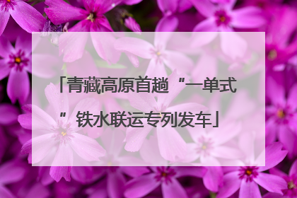 青藏高原首趟“一单式”铁水联运专列发车